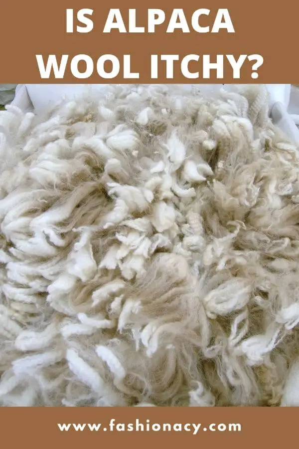 alpaca wool itchy