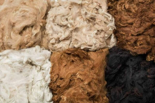 Benefits of Alpaca Wool