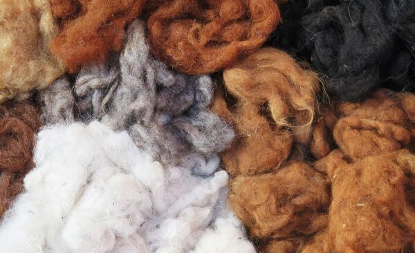 Does Alpaca Wool Shrink?