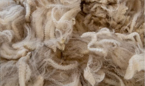 How to Tell Real Alpaca Wool