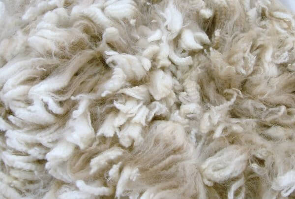 Is Alpaca Wool Itchy?