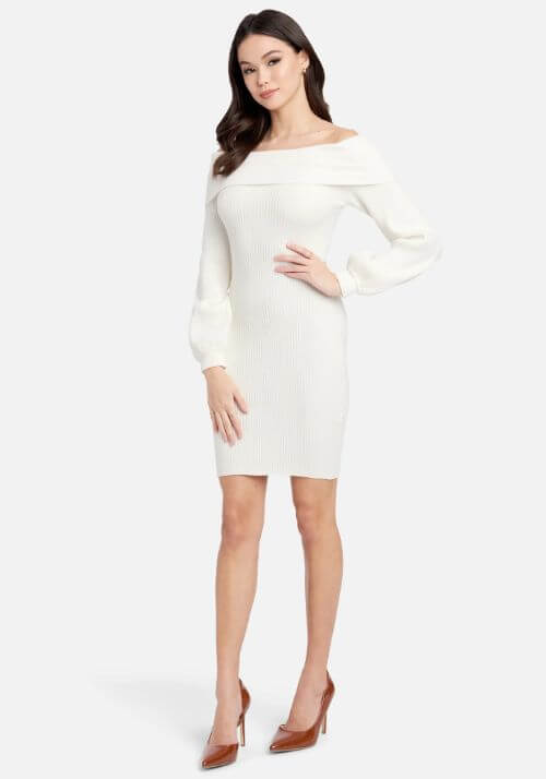 Overlay Balloon Sleeve Knit Dress