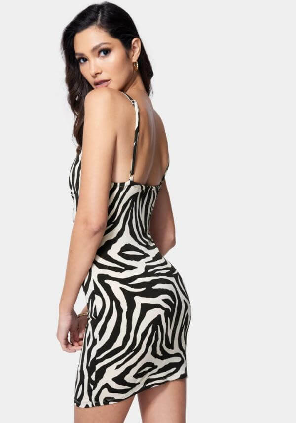 Zebra Print Mini Dress Outfit