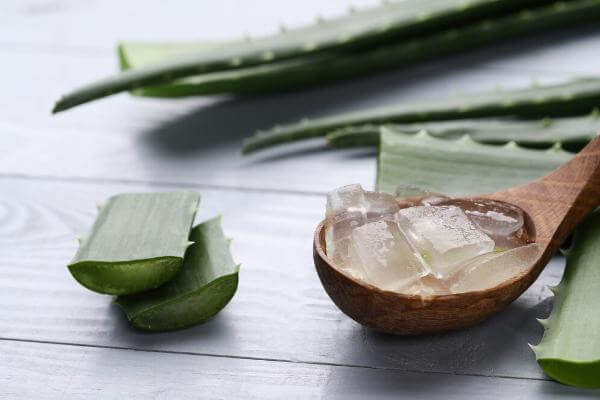 Benefits of Aloe Vera For Skin