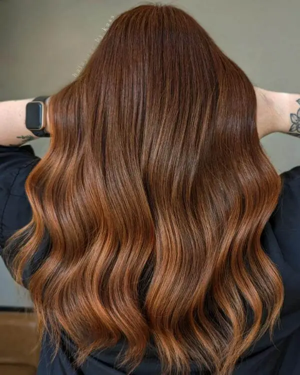 Honey Brown Hair Color