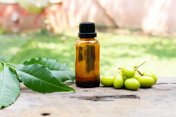 Neem Benefits For Skin