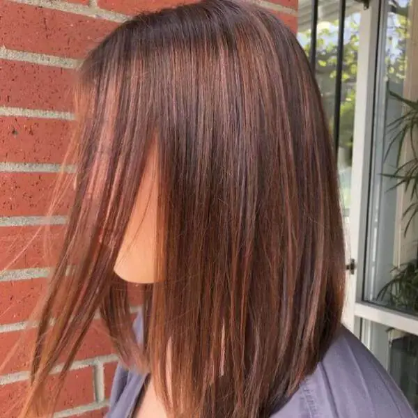 Balayage Short Hair Brunette