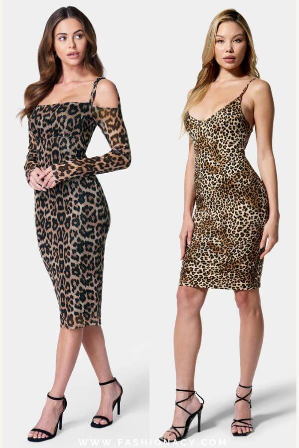 Leopard Dresses Outfit