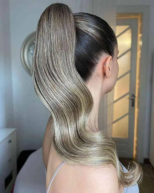 Sleek Ponytail Long Hair