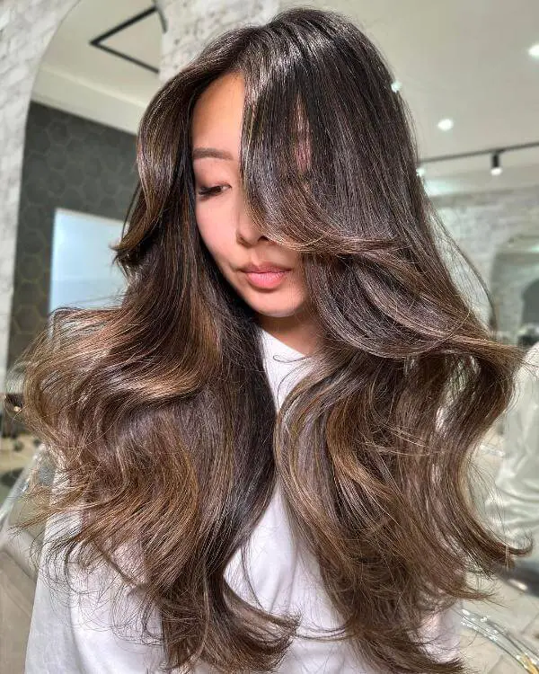 Sun Kissed Brunette Hair Subtle Highlights