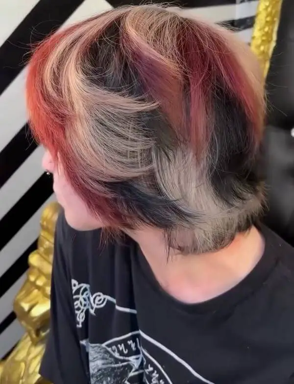 Calico Short Hair