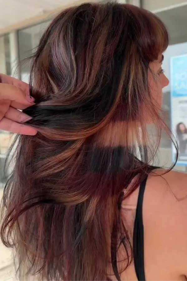 Dark Calico Hair Color