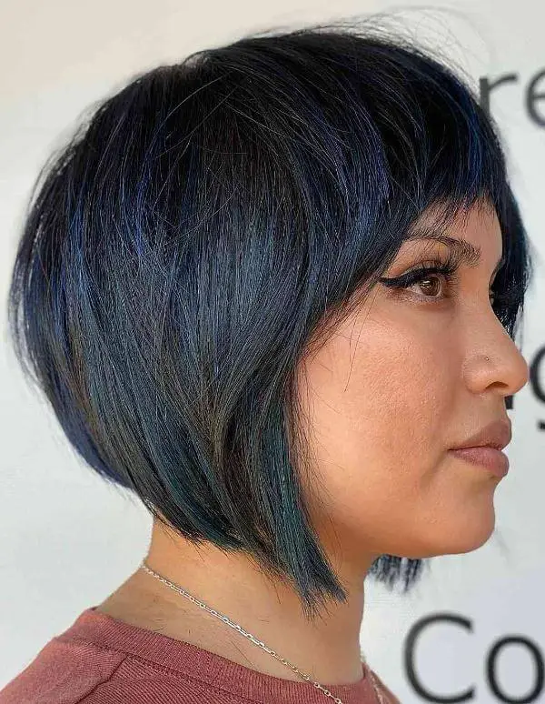 Blue and Black Short Hair