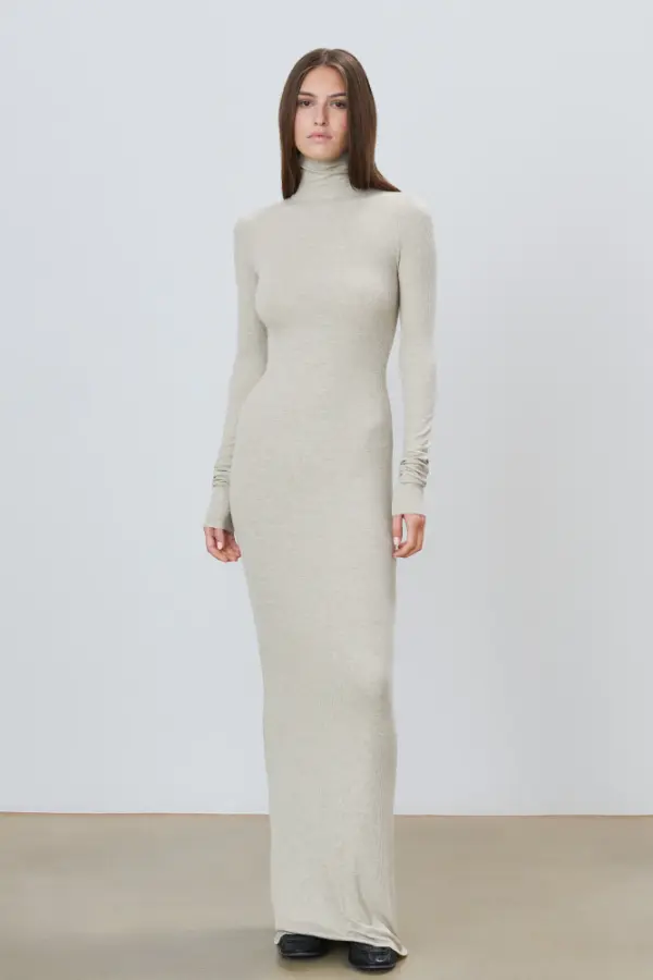 Formal Turtleneck Dress