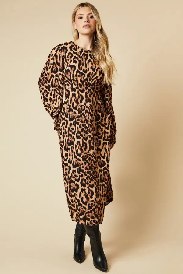 Animal Print Dress Casual