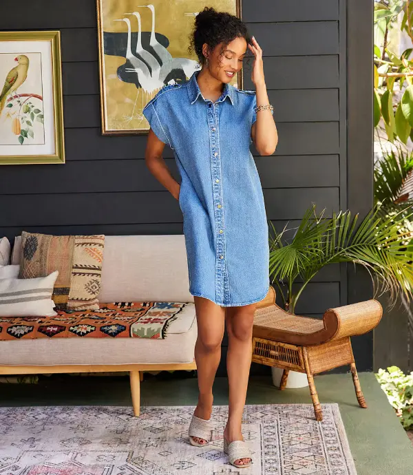 Shirt Dress