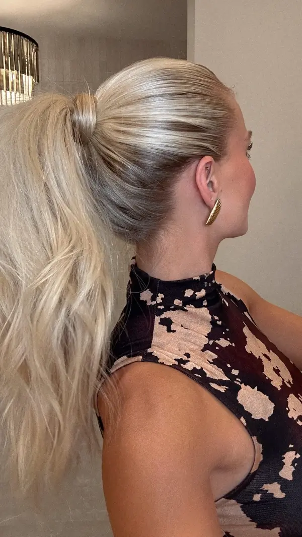 Ponytail Hairstyles Ideas